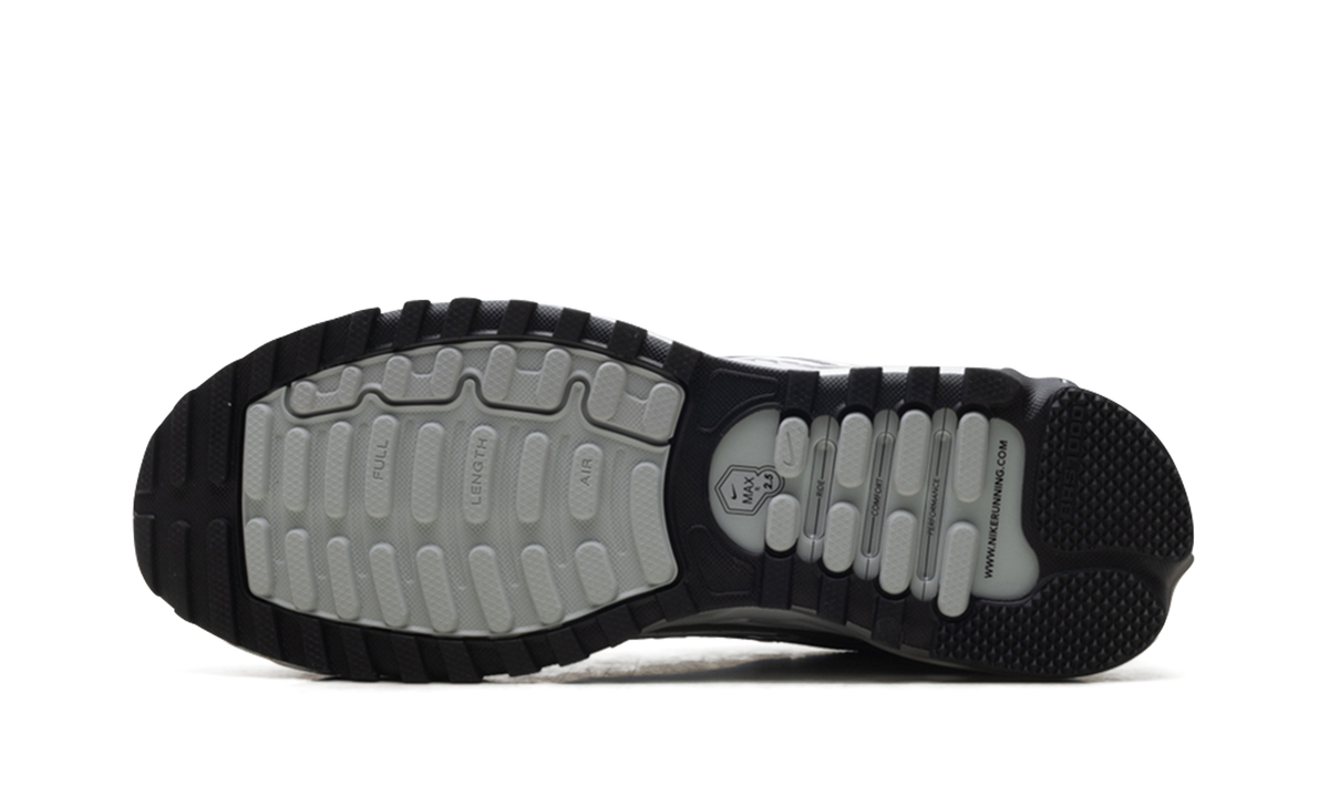 Air Max TL 2.5 "Metallic Silver" HM8818 001