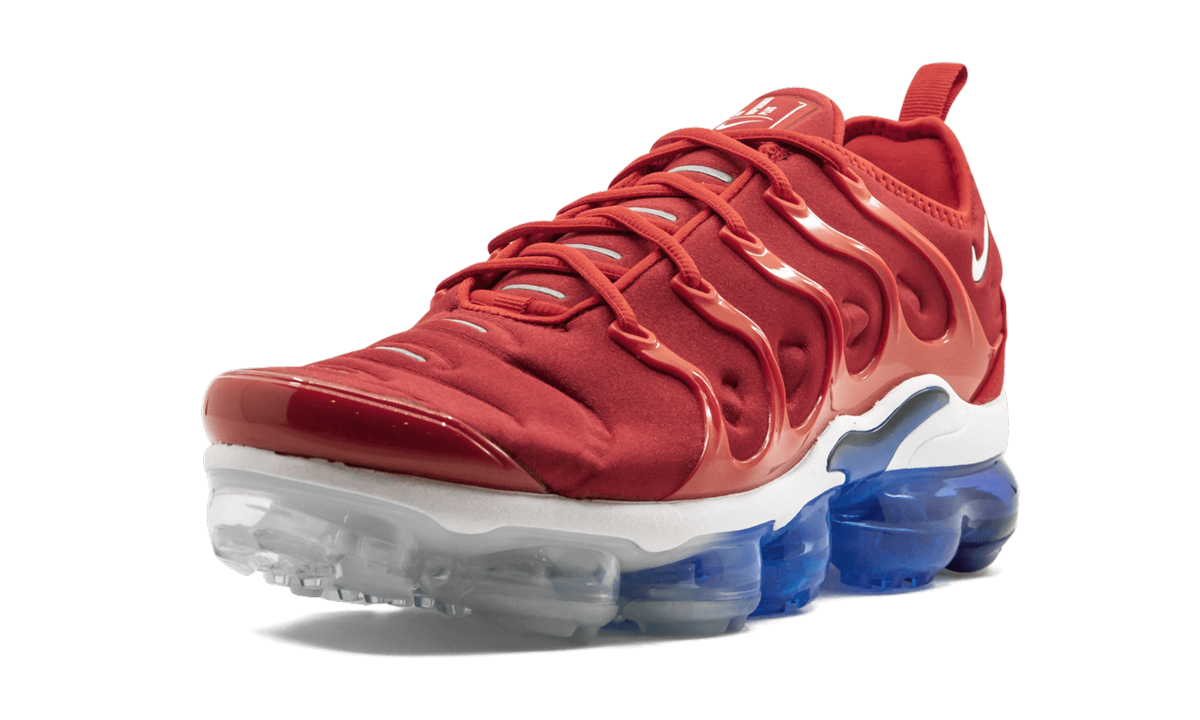 Air Vapormax Plus 924453 601