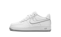 Air Force 1 GS DX5805 100