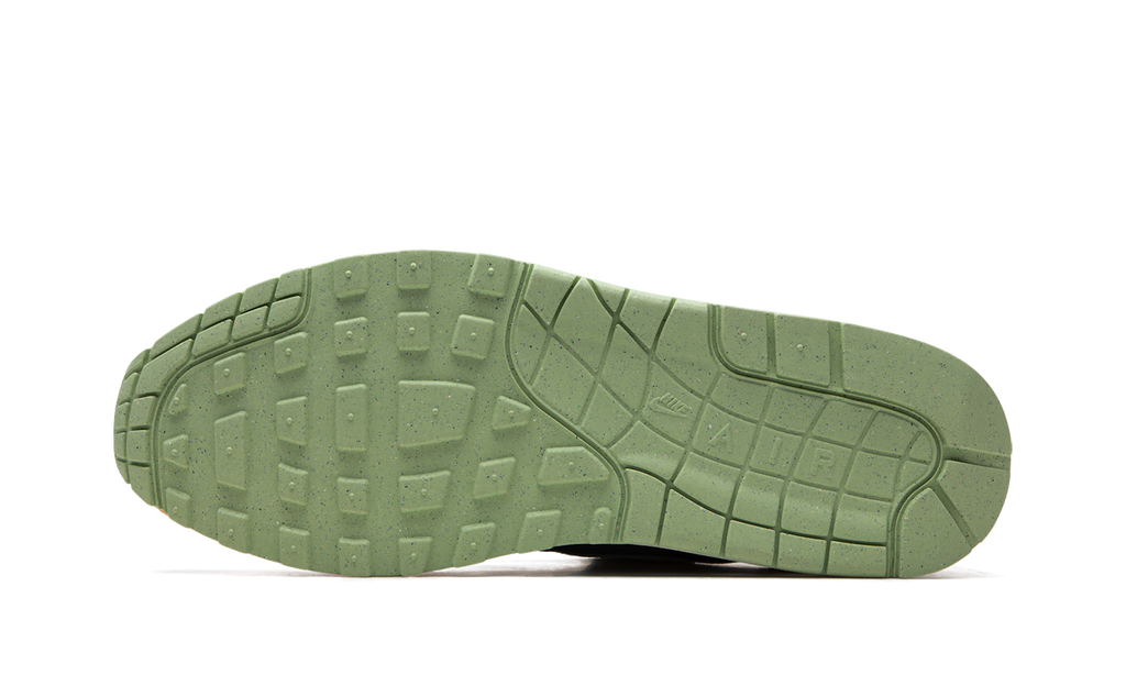 Air Max 1 "Ugly Duckling - Honeydew" DZ0482 001