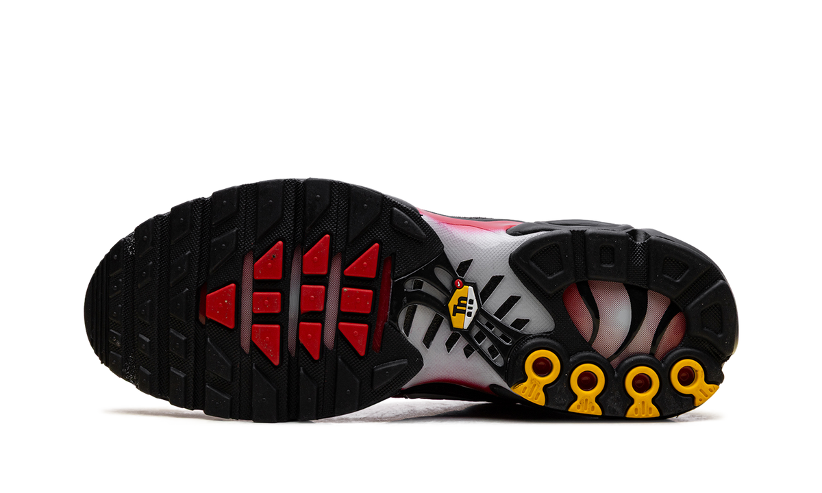 Air Max Plus "Red Black White" DM0032 017