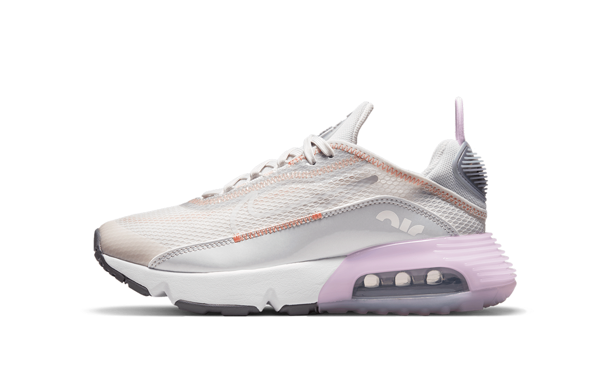Air Max 2090 "White" CJ4066-014