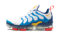 Air Vapormax Plus "Citron Pulse" FJ3999 100